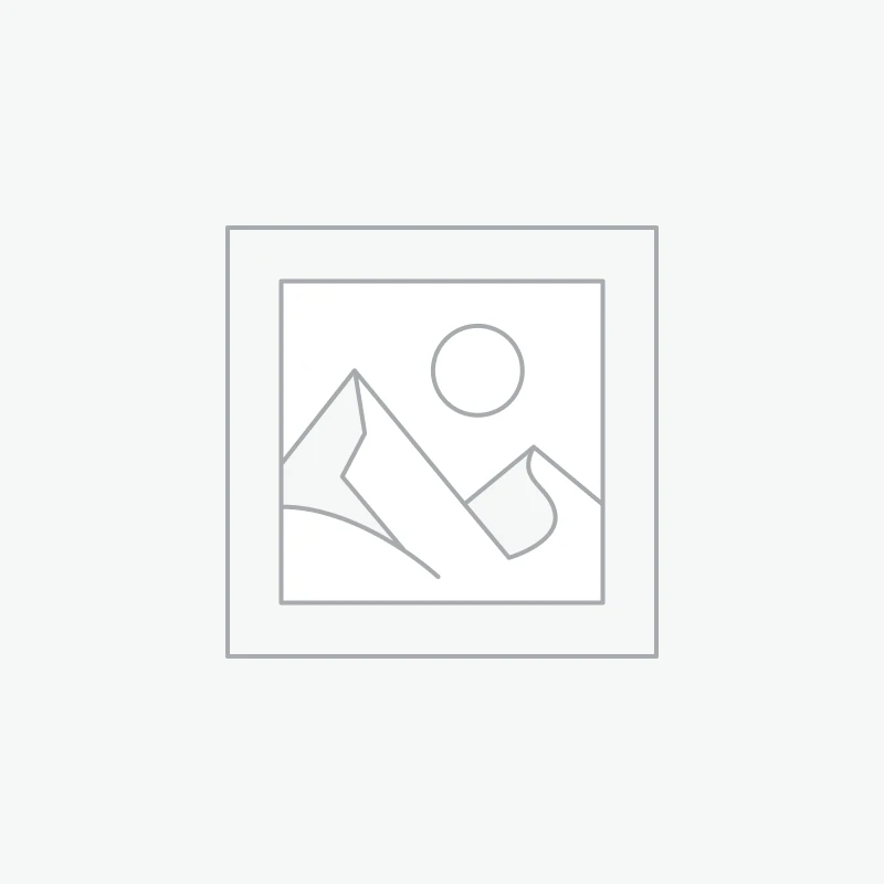 Dianthus deltoides Brilliant – Œillet