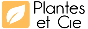 Logo plantes et cie