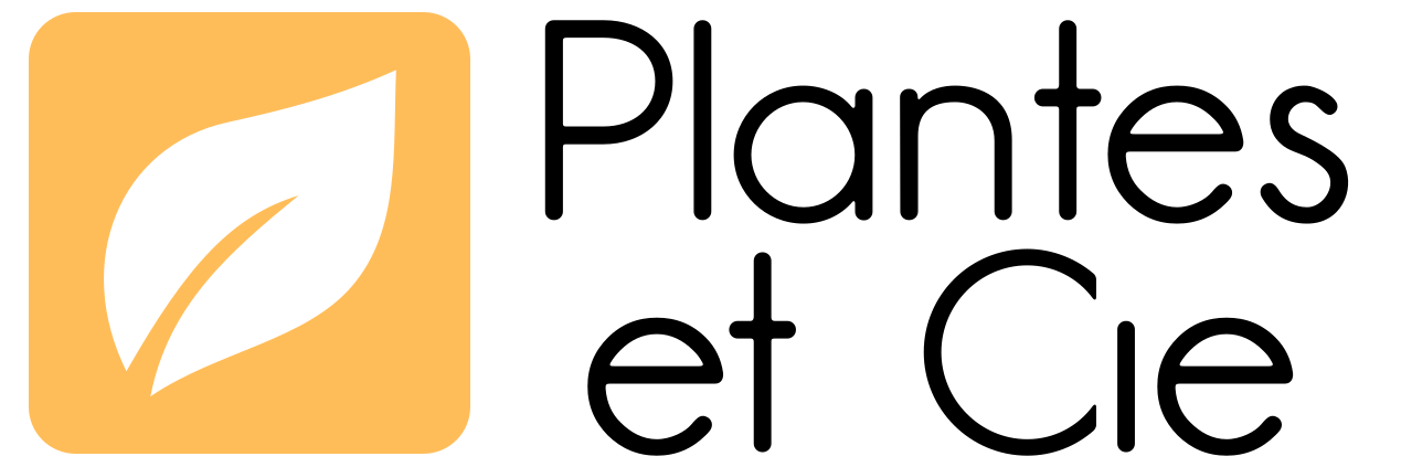 Plantes-et-Cie-Plantes de qualité pour votre jardin, livrées directement chez vous !