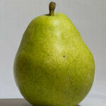 poirier Beurré d'Anjou