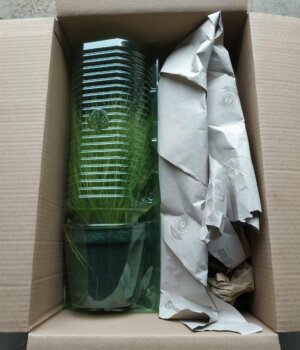 Colis blister Colis blister