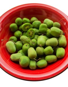 Kiwaï autofertile Issai - Actinidia arguta Issai - Récolte