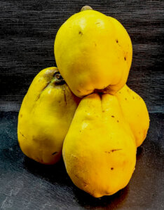 Cognassier Géant de Vranja