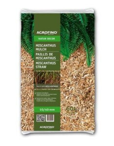 Paillis de miscanthus