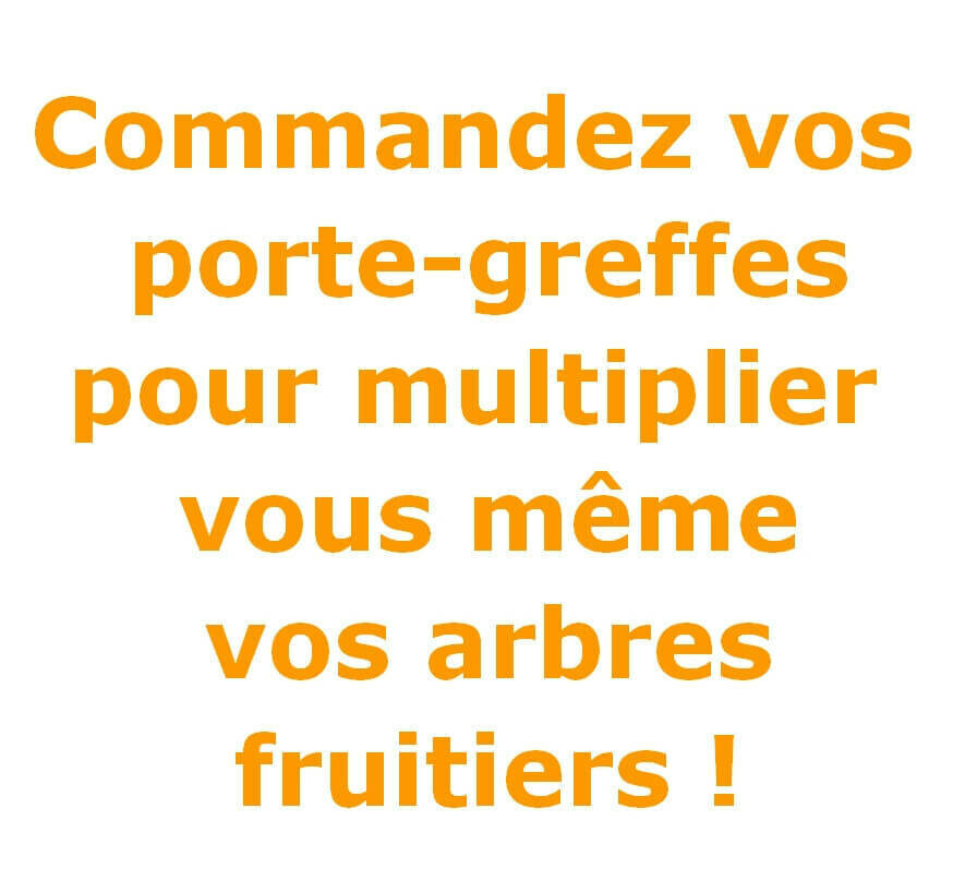 Commandez vos porte-greffes pour embellir vos arbres fruitiers !